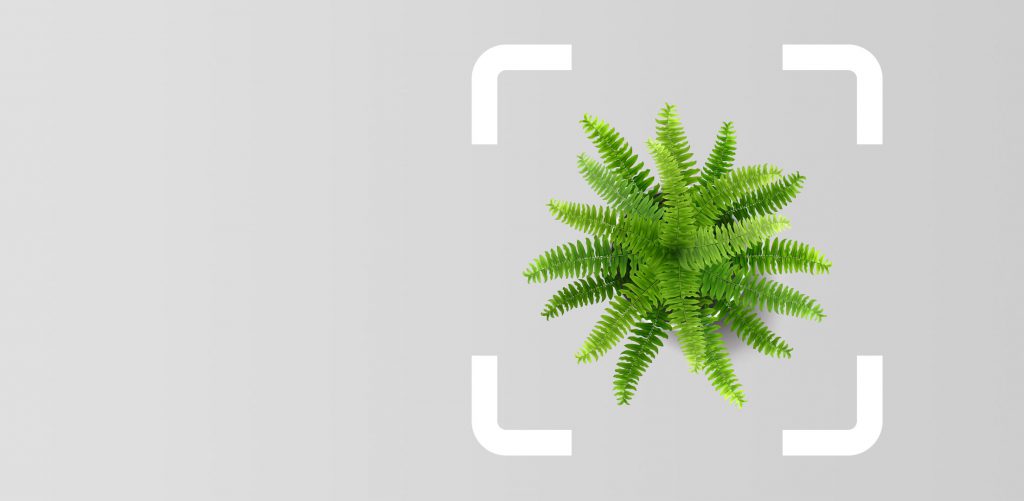 Variable rate personal savings accounts - HTB